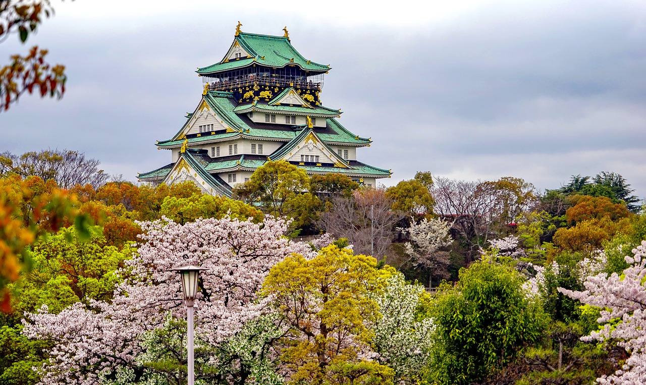 百色追寻梦想的起点：为何选择高考后去日本留学？